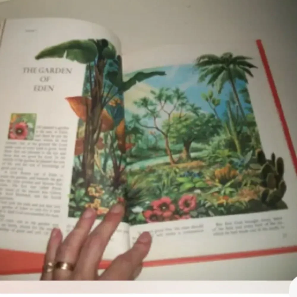 Vintage Children’s Bible Book Volume 1 and 2 Hardcover
